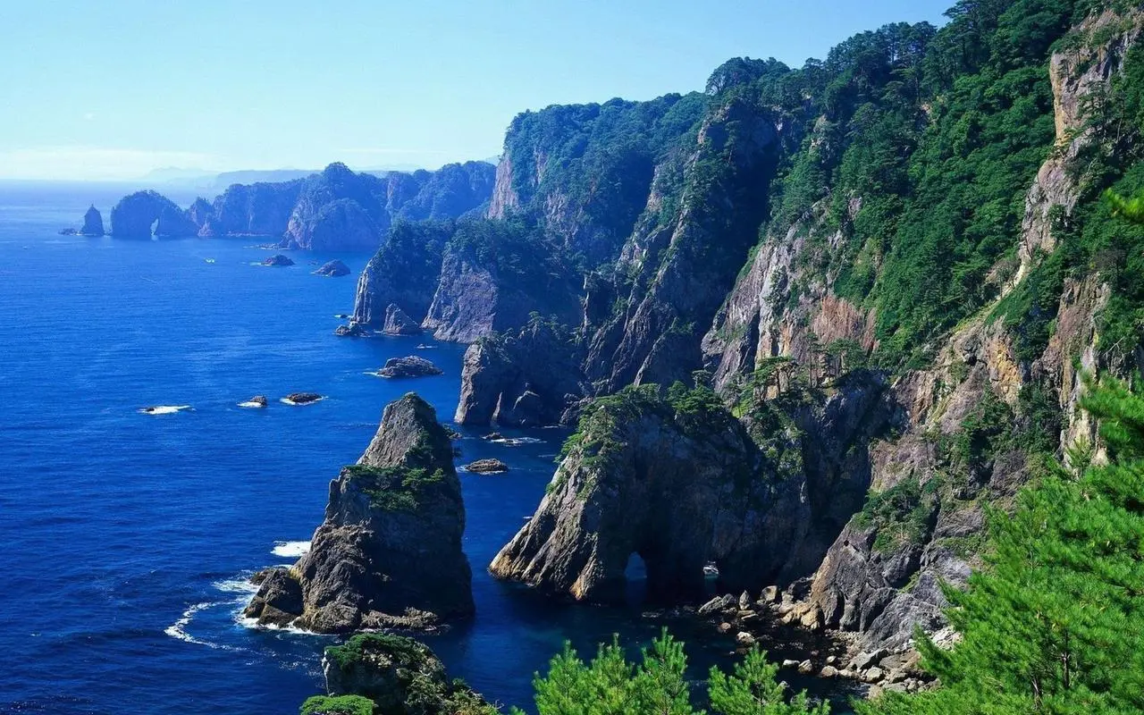 高性能高效全自动
